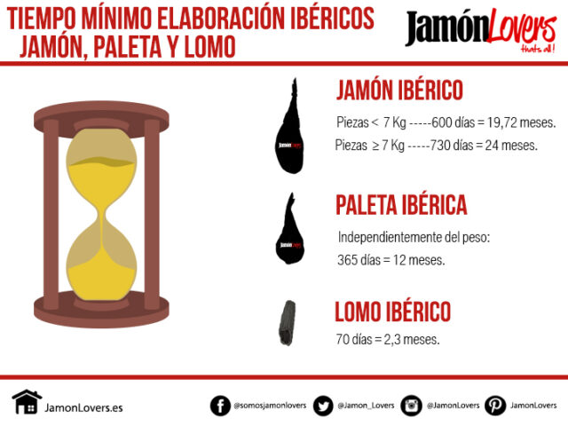 imagen-7